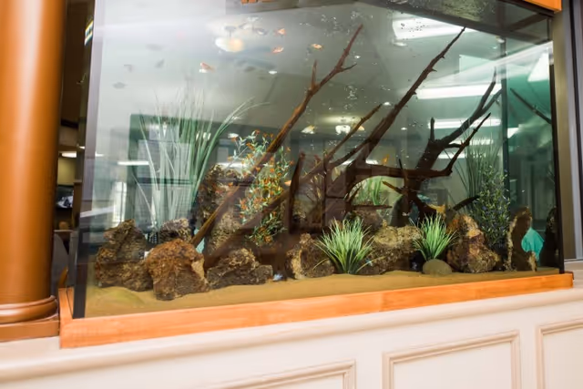 Large aquarium with various rocks, plants, and driftwood inside, housing small colorful fish. The aquarium is set on a wooden base with a cream-colored panel below it. Reflections of ceiling lights and interior elements are visible on the glass.