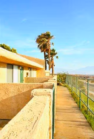 Sunny exterior walkway of Mountain View Manor with beige walls and palm trees.