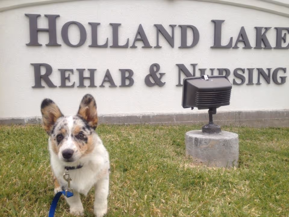 A small speckled dog on a leash sitting on grass in front of a sign that reads "Holland Lake Rehab & Nursing".