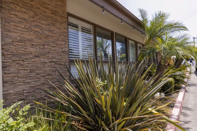 Exterior view of a building with stone and beige walls, several windows with white shutters, and various green plants including palm trees and spiky shrubs along the sidewalk.