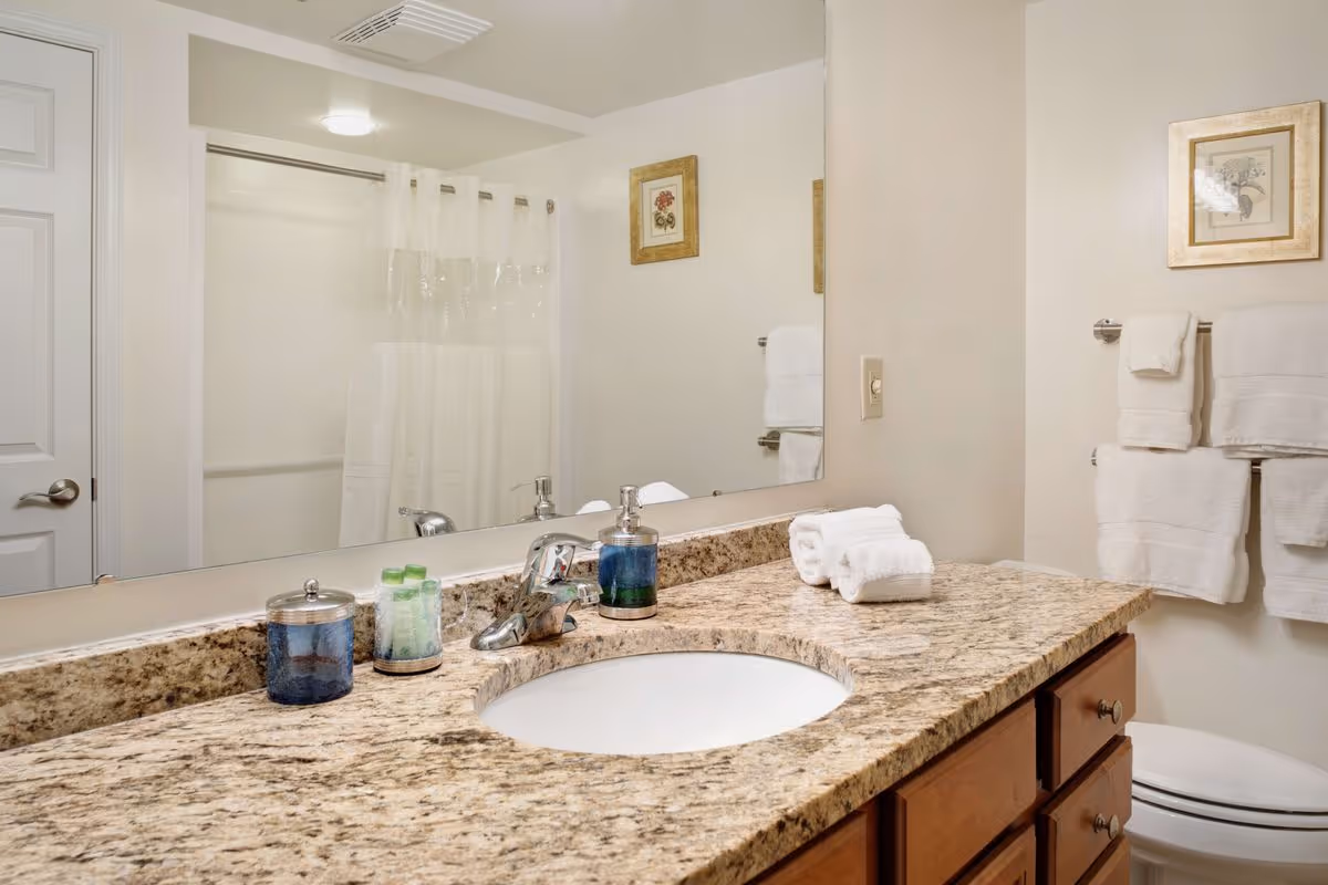 A clean bathroom with a granite countertop featuring a sink, soap dispenser, and toiletries. There is a large mirror above the sink, a white shower curtain, a closed door, and white towels hanging on a towel rack. The walls are light-colored and there are two framed pictures on the walls.