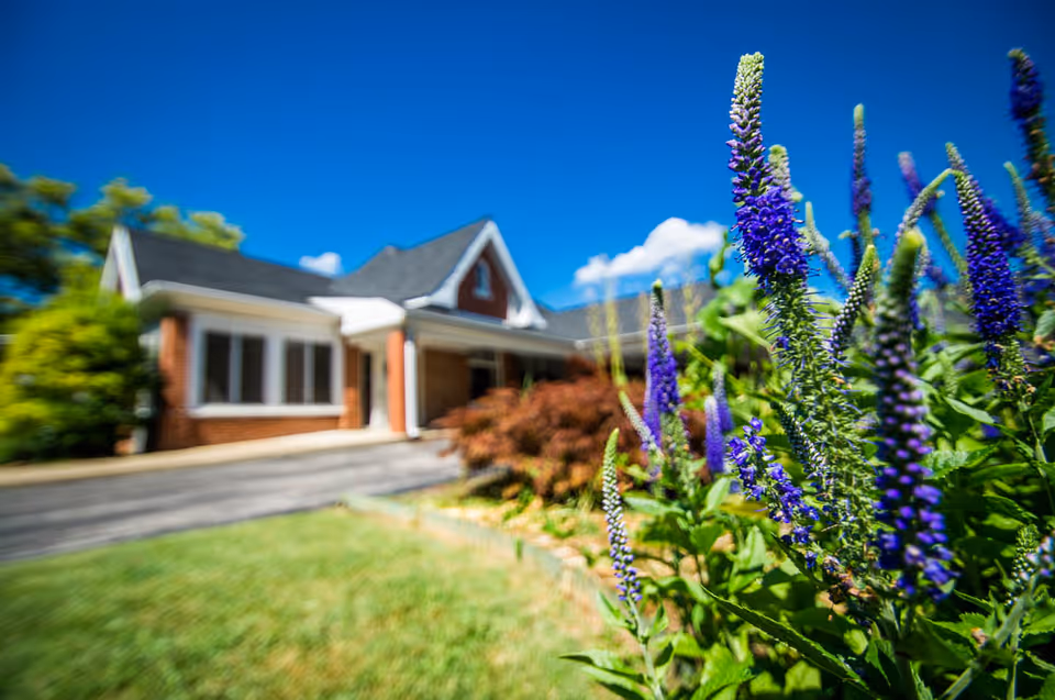 Purple spiky flowers in the foreground with the brick front entrance of a single-story building and a bright blue sky.