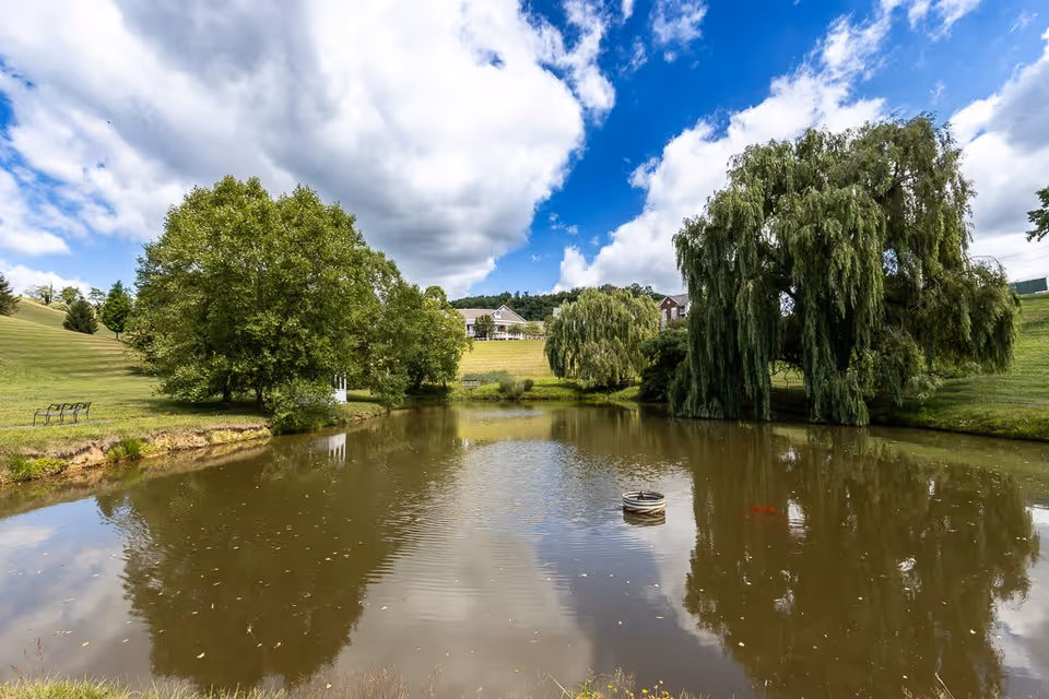 A peaceful outdoor scene featuring a small pond surrounded by green grass and large trees, including a weeping willow. In the background, there are buildings on a hill under a partly cloudy blue sky.