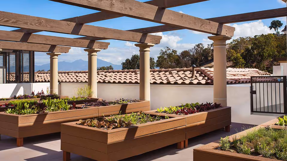 Outdoor garden area with raised wooden planter boxes filled with various plants and vegetables, shaded by a wooden pergola with columns, and a tiled roof and gate in the background under a partly cloudy sky.