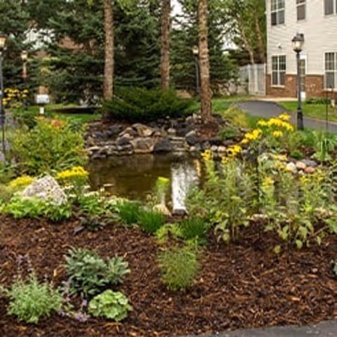 Well-maintained outdoor garden with a small pond, rocks, and lush plants beside a building.