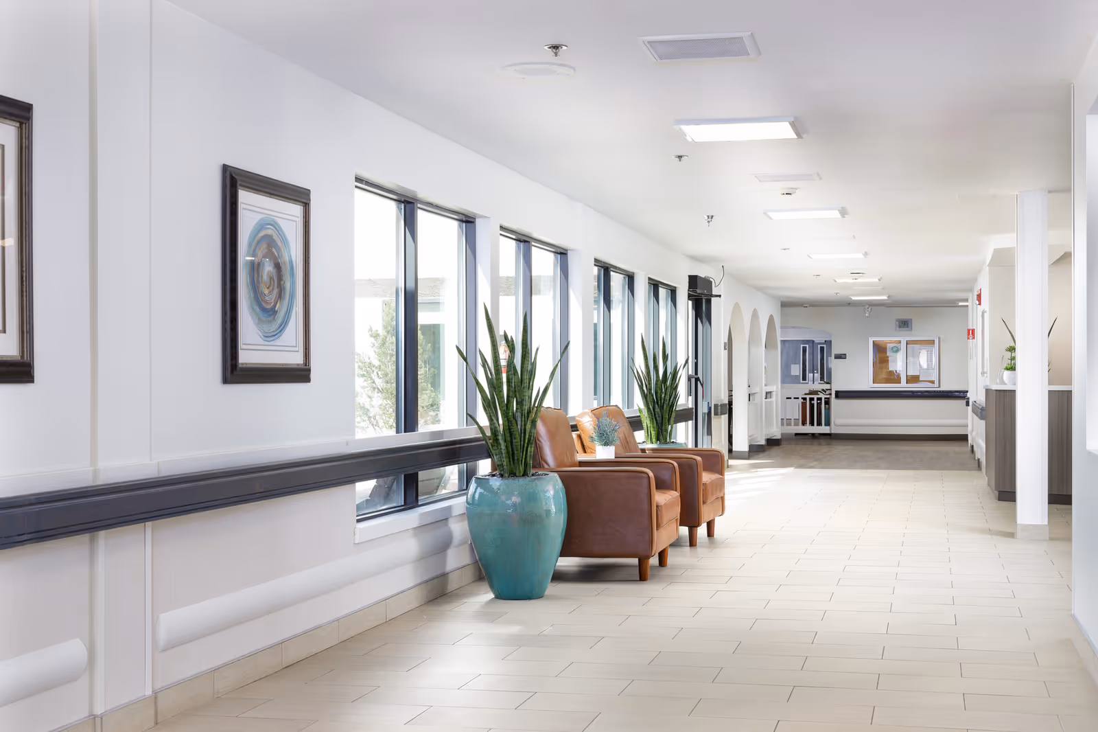 Bright hallway inside a senior living facility with windows, two leather armchairs and large potted plants.
