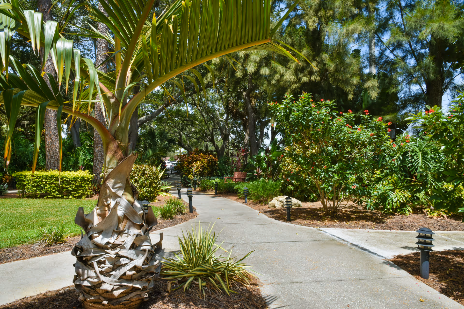 A paved walkway winding through a lush garden area with various green plants, bushes with red flowers, and tall trees providing shade. A small palm tree is prominently visible in the foreground on the left side of the path, and small black garden lights line the walkway.