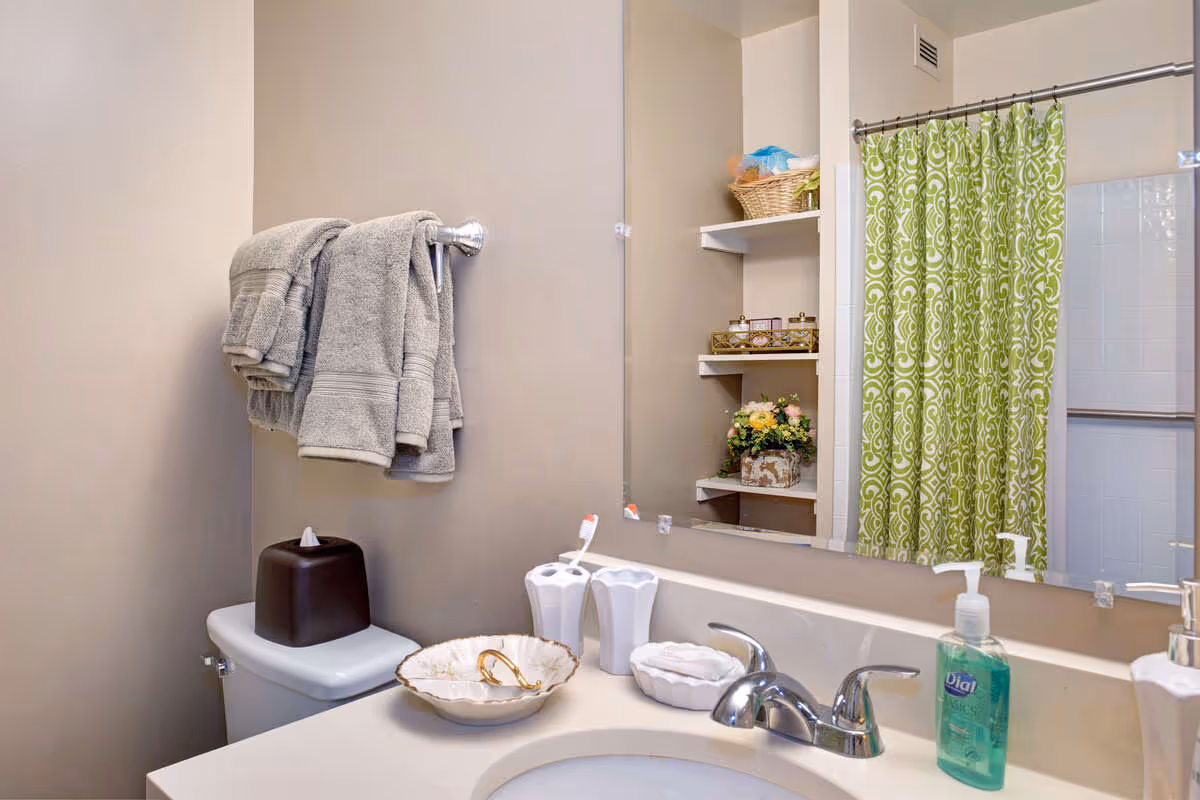 A bathroom with a white countertop sink, silver faucet, and a large mirror. On the countertop are a soap dispenser, toothbrush holder with toothbrushes, a decorative bowl, and a tissue box on the toilet tank. Gray towels hang on a towel rack on the wall. In the reflection of the mirror, there are shelves with decorative items and a green patterned shower curtain.