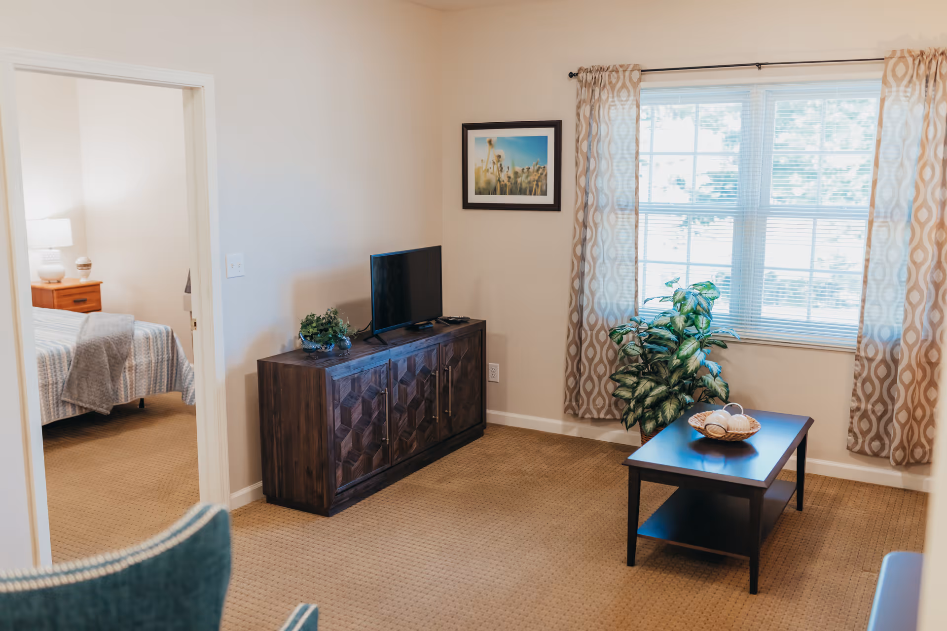 A cozy living room with beige walls and carpet, featuring a dark wooden TV stand with a flat-screen TV and a small plant on top. A framed picture hangs on the wall above the TV stand. A window with patterned curtains allows natural light to fill the room. In front of the window is a dark wooden coffee table with a decorative bowl and a large green potted plant beside it. Through an open doorway, a bedroom with a bed covered in a gray and white striped blanket and a wooden nightstand with a lamp is visible.
