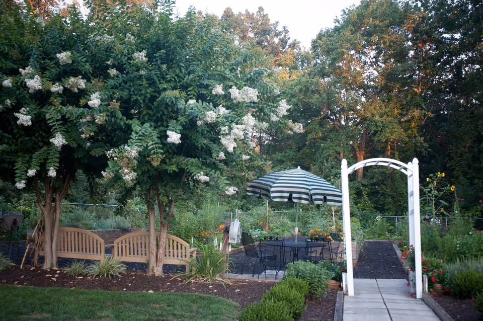 Garden patio with a striped umbrella over a table, wooden bench beneath flowering trees, and a white arbor over a paved path.