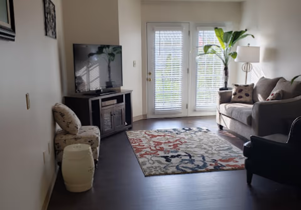 Bright living room with a sofa and armchair facing a TV on a stand, a colorful area rug, and French doors with blinds.