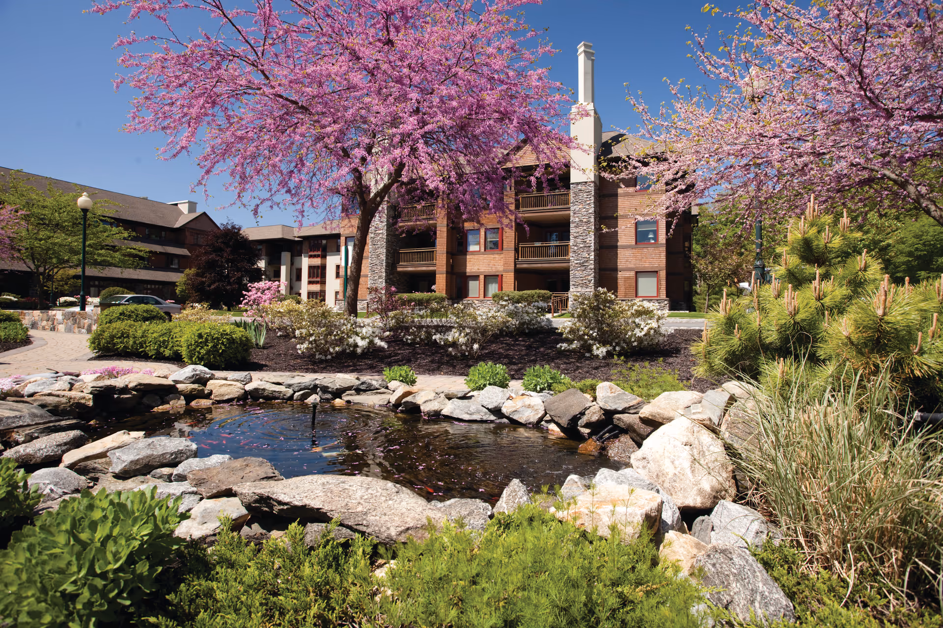 A senior living community building with stone and wood exterior surrounded by landscaped gardens featuring blooming pink trees, shrubs, and a small pond with rocks in the foreground under a clear blue sky.