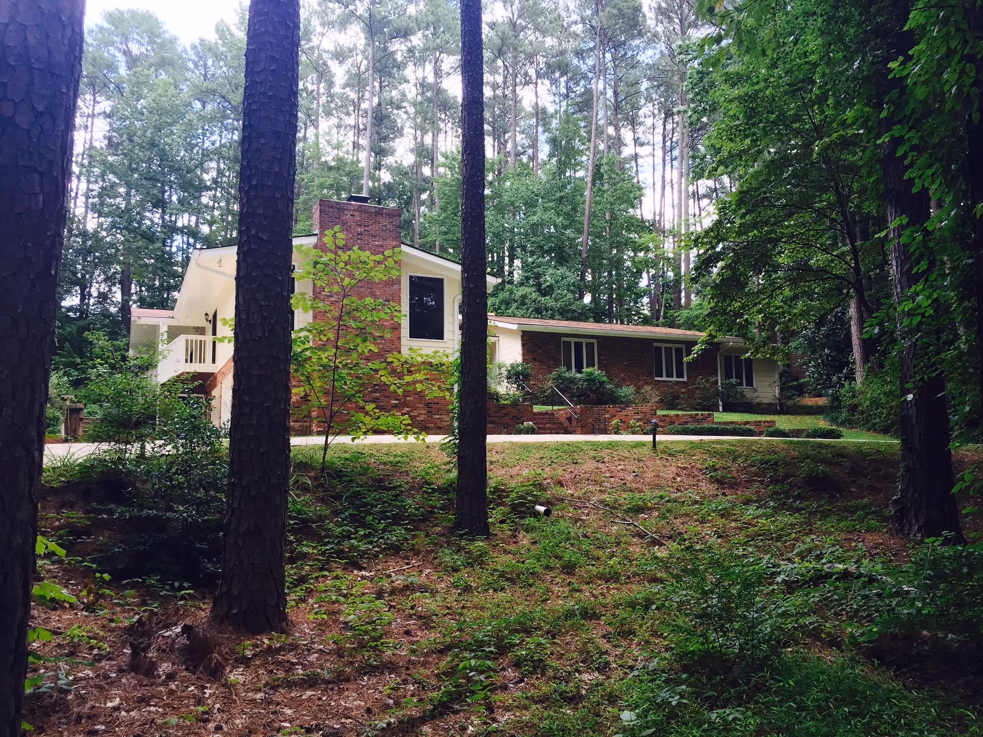 Single-story brick house with a chimney nestled among tall pine trees and a wooded lawn.
