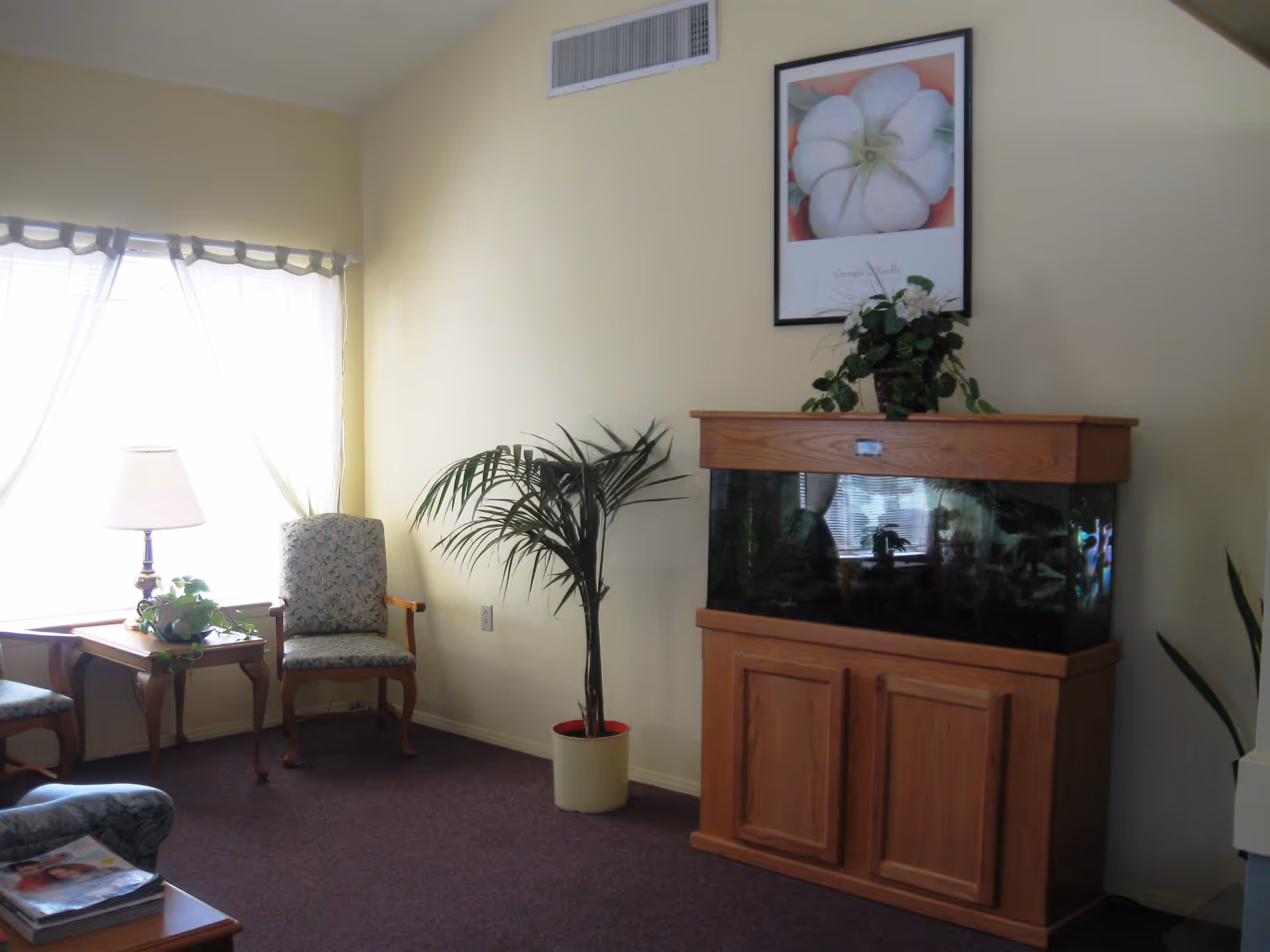 A cozy living room area with a large fish tank on a wooden stand, a potted plant beside it, two upholstered chairs, a wooden side table with a lamp and a small plant, and a window with sheer curtains letting in natural light. A framed floral artwork hangs above the fish tank.