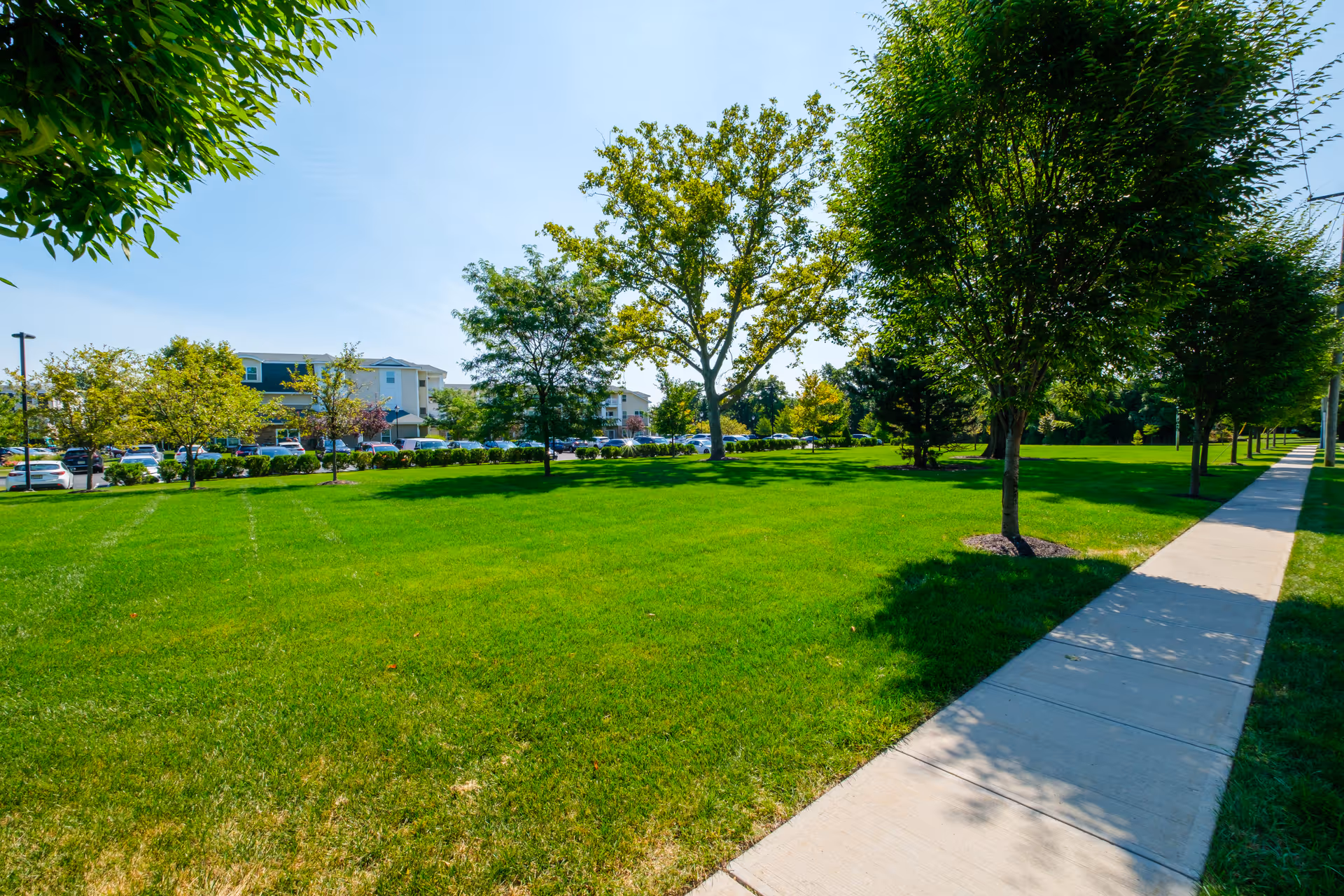 Green lawn and trees with a sidewalk leading past residential buildings and parked cars.