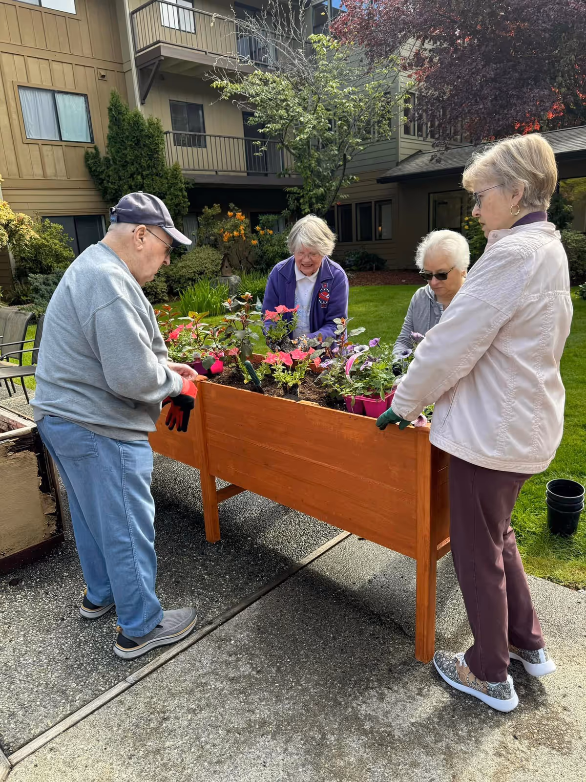 Four elderly individuals gardening together outdoors around a raised wooden planter filled with flowers, with a residential building and greenery in the background.