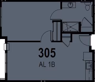 Floor plan diagram of unit 305 labeled AL 1B showing a main room, kitchenette area, and a bathroom layout with sink and toilet.