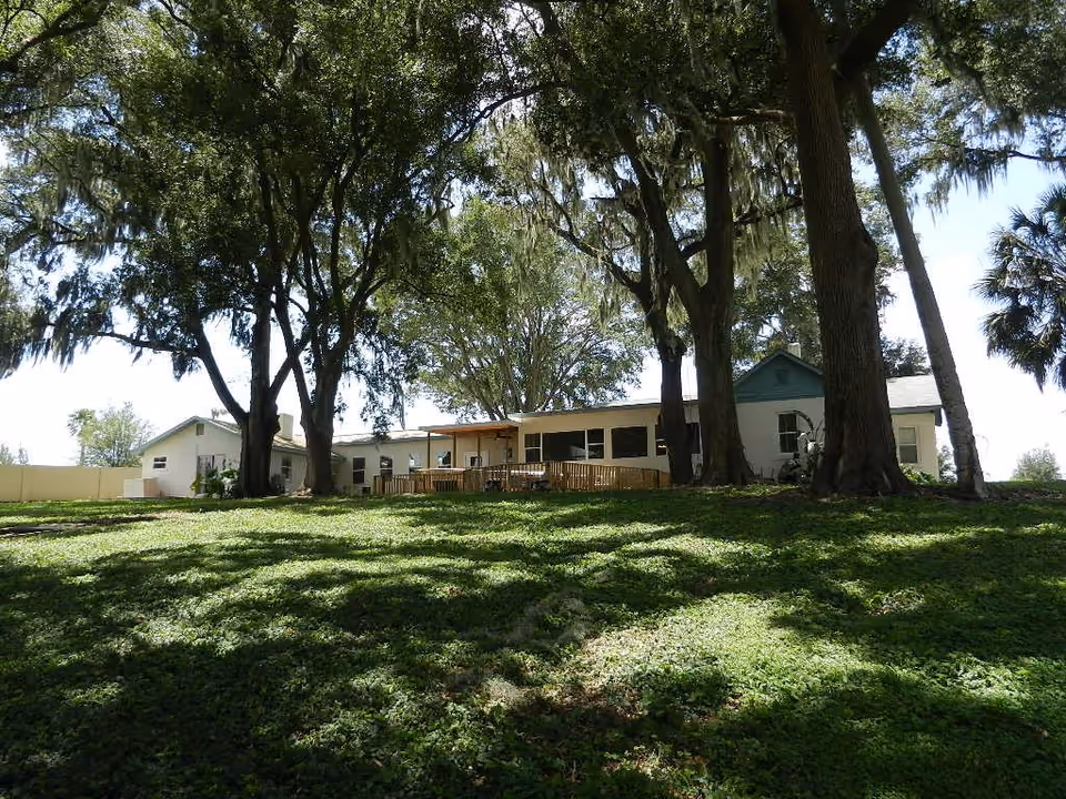View of a single-story building partially obscured by large trees with hanging moss, surrounded by a grassy area with shadows from the trees.