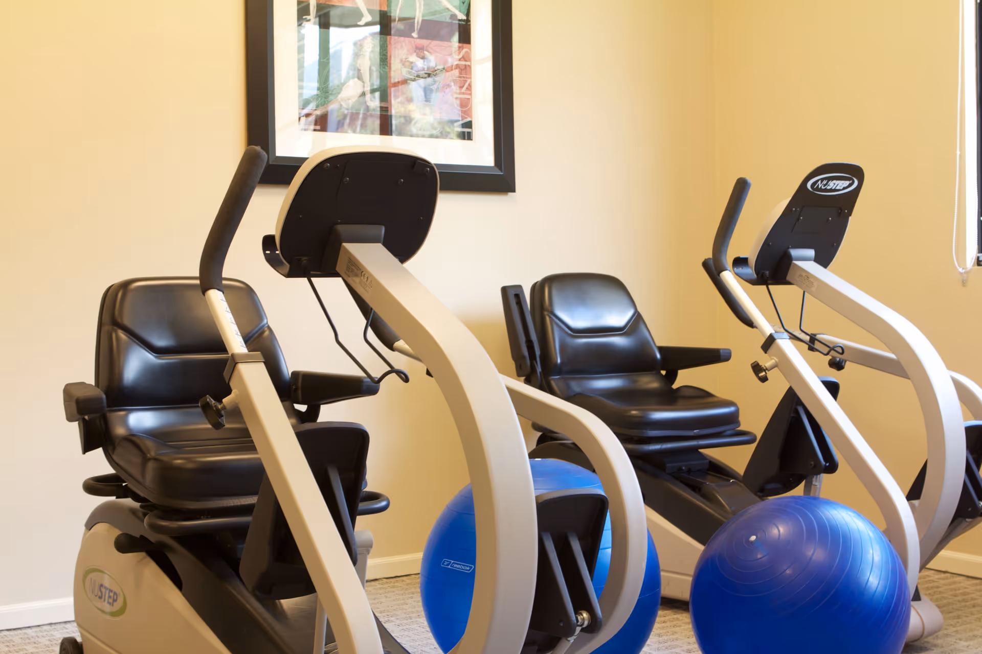 Two recumbent exercise bikes with black seats and armrests in a room with beige walls and carpeted floor. There are two blue exercise balls placed near the bikes and a framed picture hanging on the wall behind them.