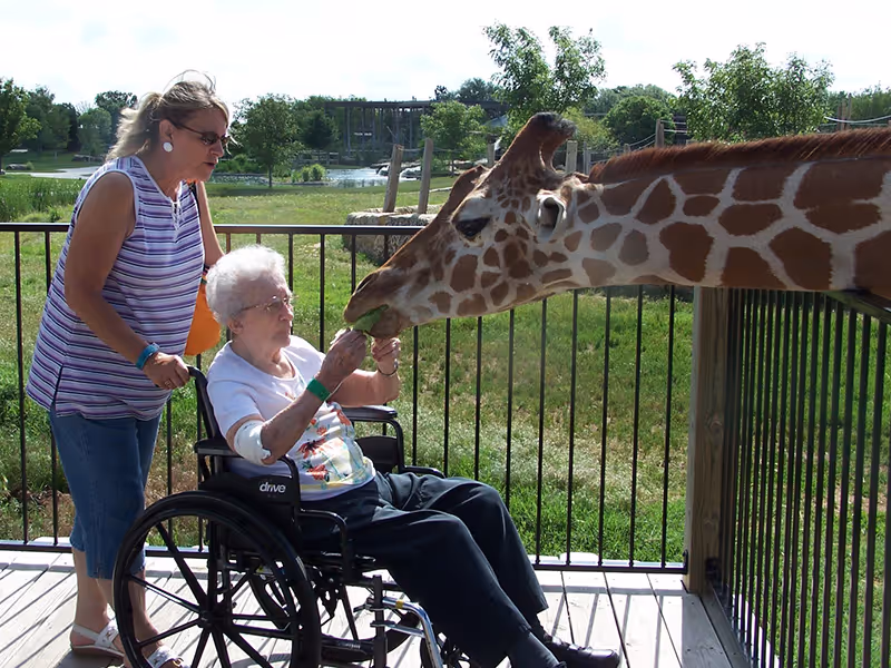 An elderly resident in a wheelchair is fed by a giraffe while a caregiver stands nearby on an outdoor deck at Wheatlands Health Care Center.