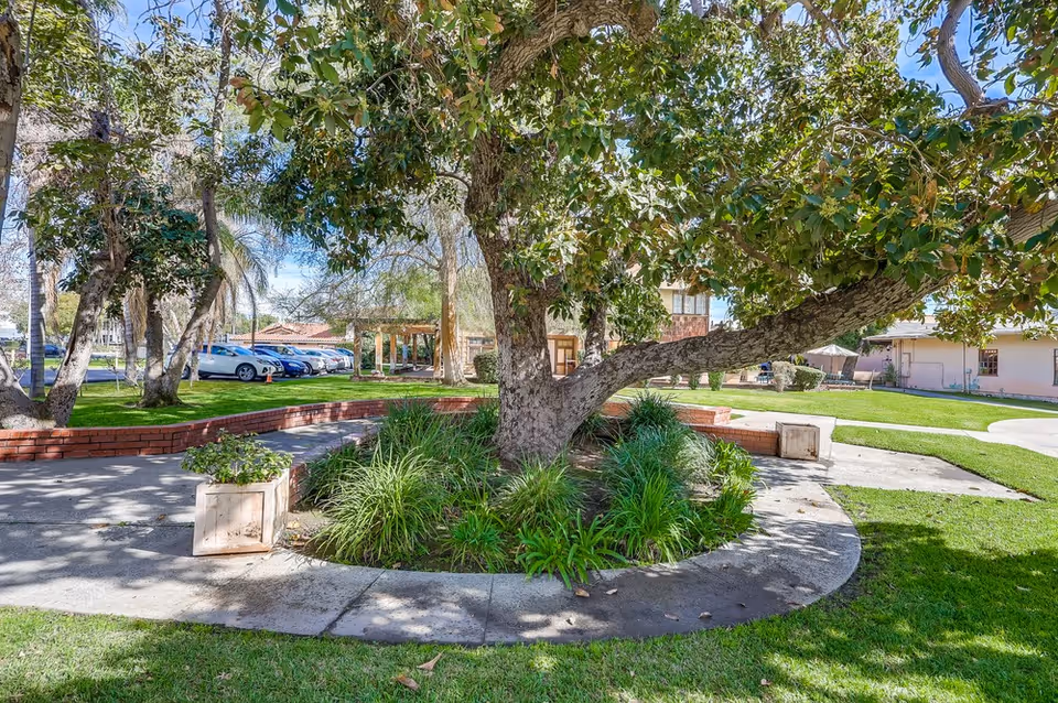 Outdoor garden area at Colonial Gardens Nursing Home featuring a large tree with a circular brick planter surrounded by green grass, shrubs, and paved walkways. Several parked cars and buildings are visible in the background under a clear blue sky.