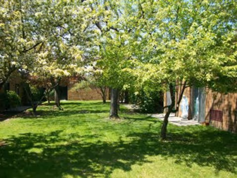 A grassy outdoor area with several trees casting shadows on the lawn, adjacent to a brick building with a wooden fence and a concrete walkway.