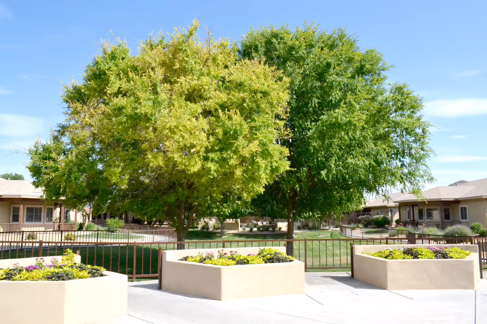 Sunny courtyard with large trees, raised planters, and single-story residential buildings in the background.