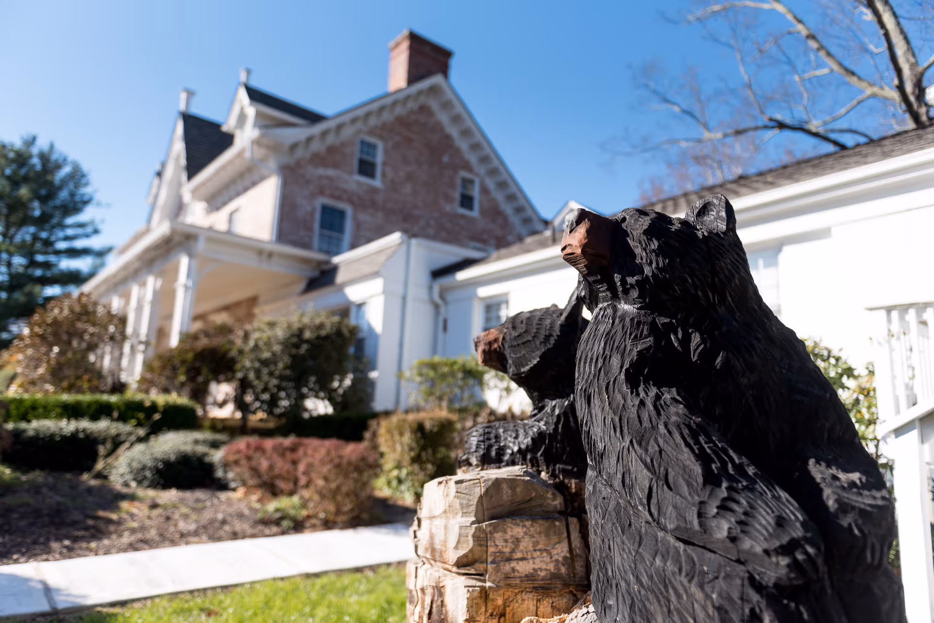 Outdoor view of a healthcare facility with a wooden sculpture of two black bears in the foreground. The building has a brick and white exterior with multiple windows and a porch. There are shrubs and trees around the building under a clear blue sky.