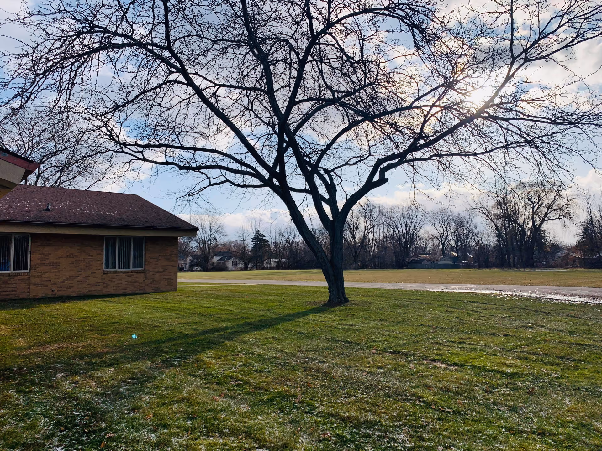 A leafless tree stands on a grassy lawn next to a brick building with windows. The sky is partly cloudy with the sun shining through, casting shadows on the grass. In the background, there are more trees and some houses.