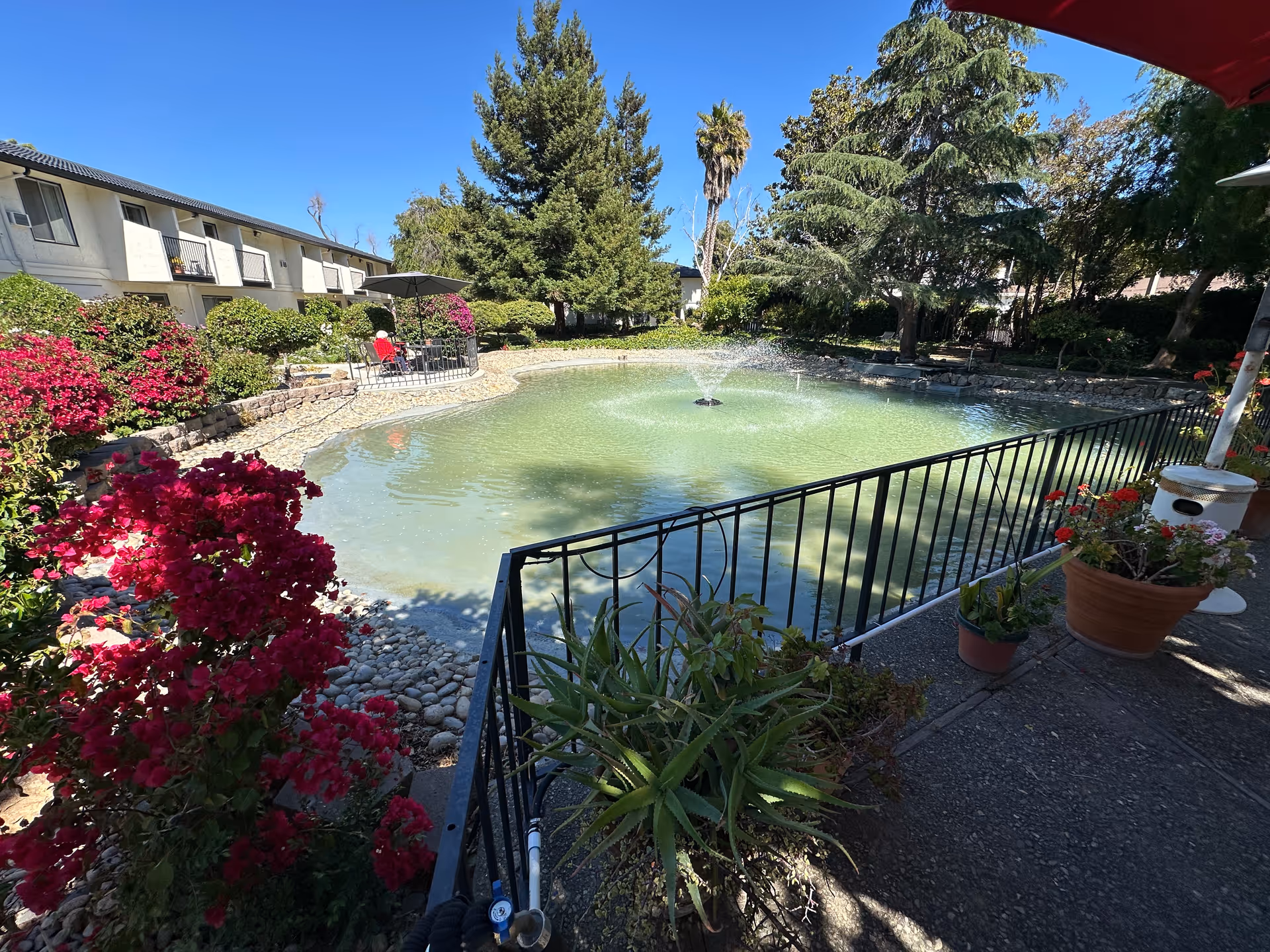 Landscaped courtyard with a central pond and fountain, surrounded by an apartment building, flowering shrubs, potted plants, and outdoor seating.