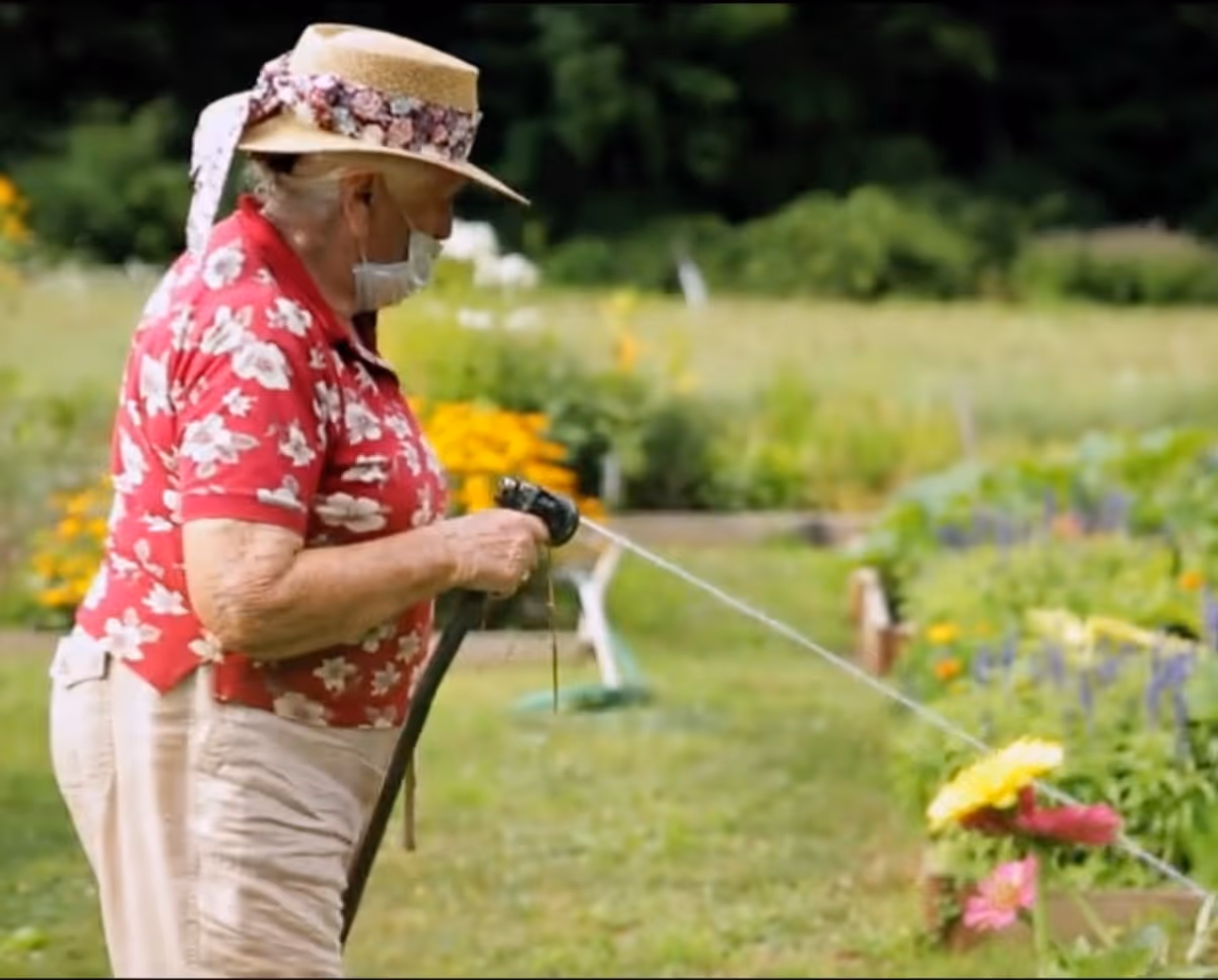 An elderly woman wearing a floral red shirt, beige pants, a straw hat with a floral band, and a face mask is watering flowers in a garden using a hose. The garden has various colorful flowers and greenery in the background.