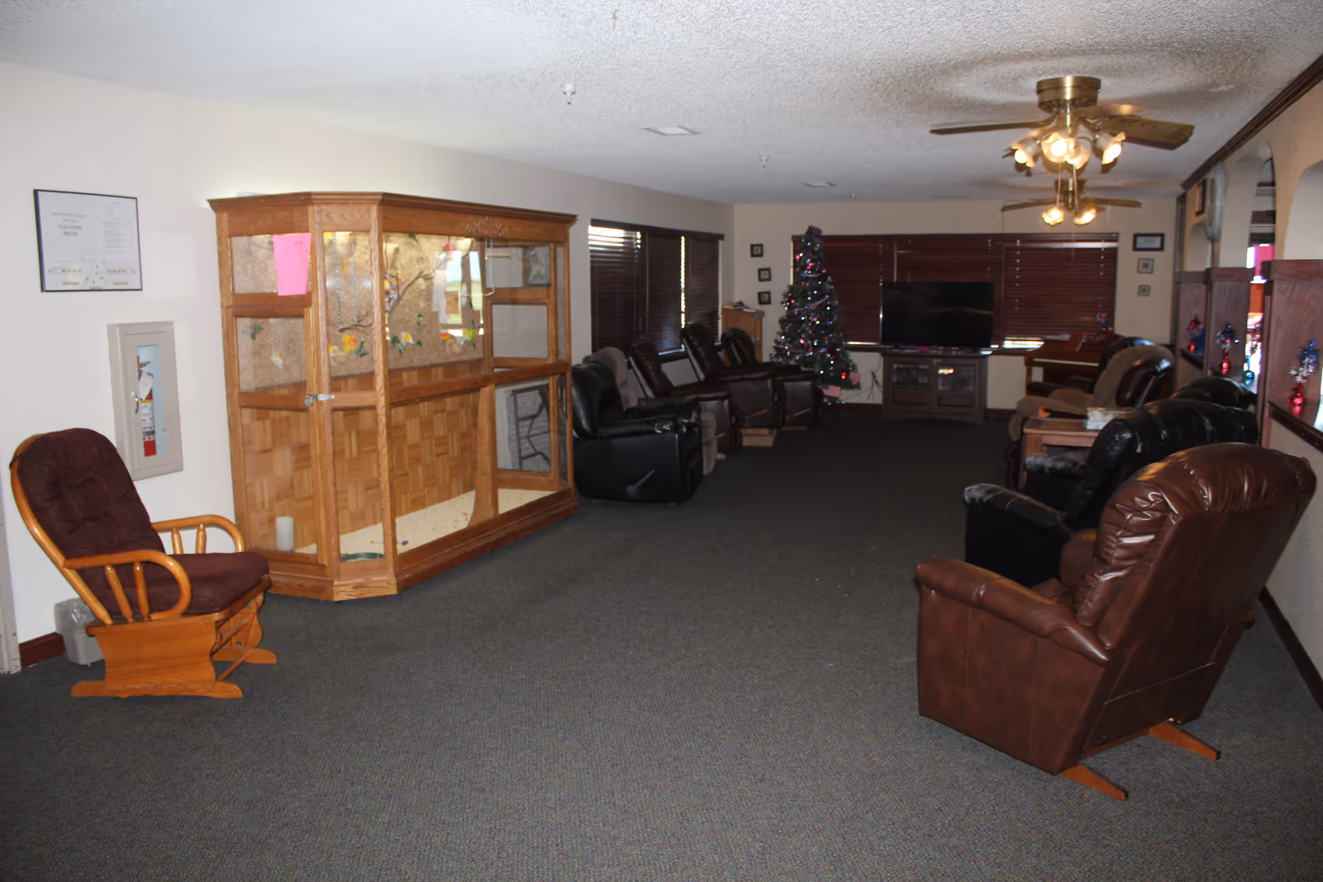 A spacious living room area in a senior living facility with multiple recliner chairs arranged along the walls. There is a wooden rocking chair on the left, a large wooden display cabinet, a decorated Christmas tree near a flat-screen TV on a stand, and ceiling fans with lights. The room has carpeted flooring and windows with closed blinds.