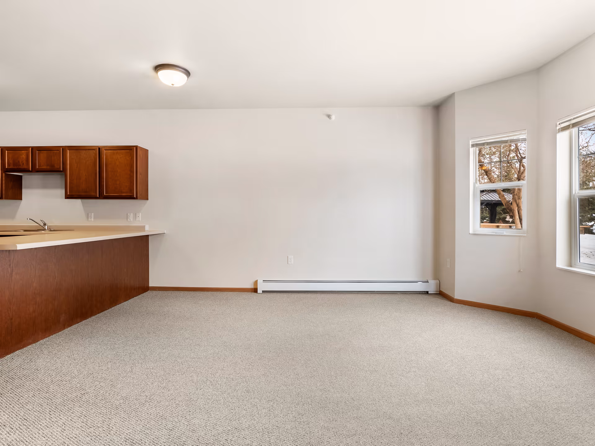 Empty interior room with beige carpet, white walls, and a kitchen counter with wooden cabinets on the left side. Two windows on the right side show trees outside.