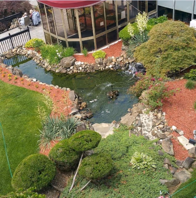 A landscaped courtyard featuring a koi pond with rock borders, shrubs, mulch beds and a building with large windows.
