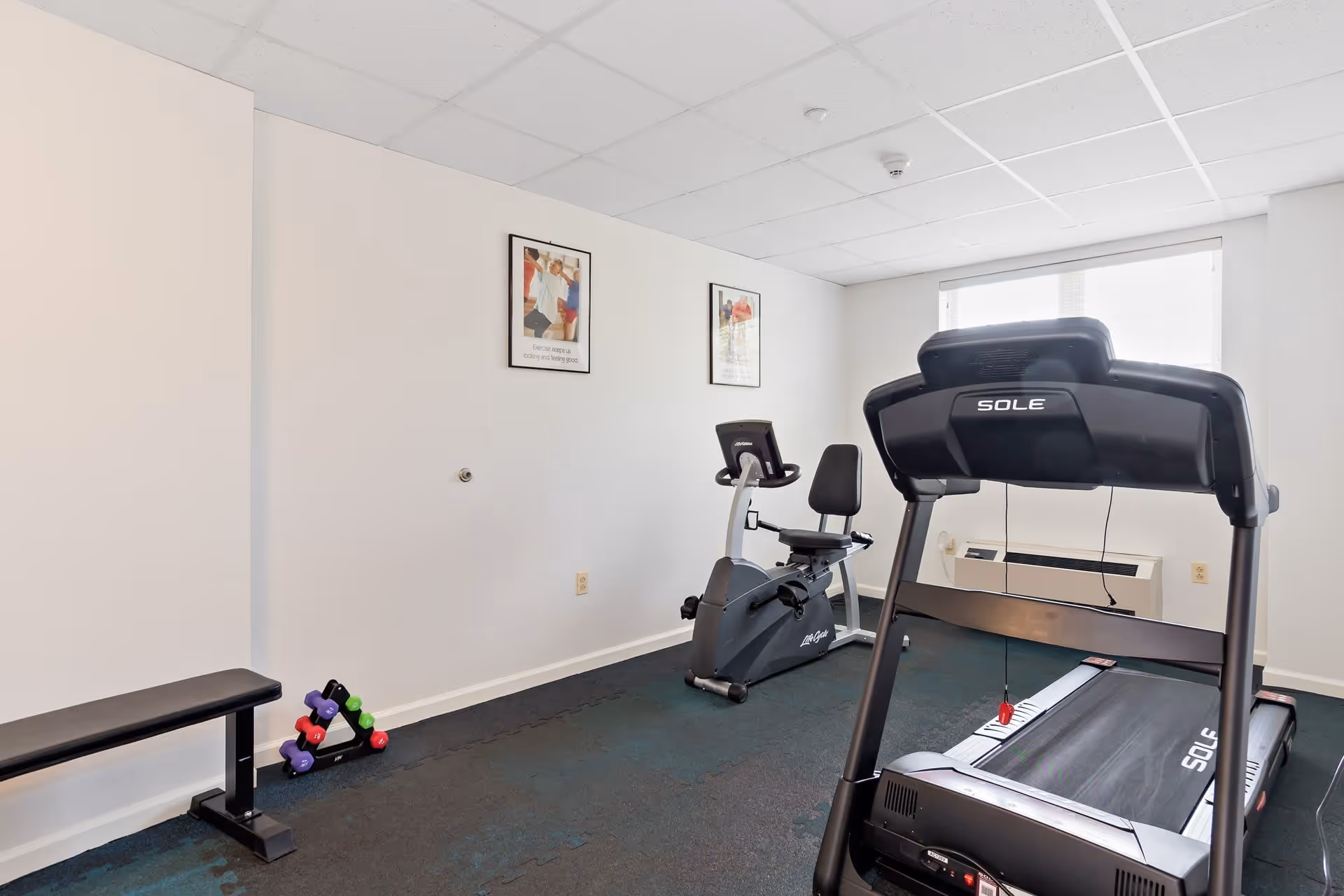A small fitness room with a treadmill, a stationary recumbent bike, a bench, and a set of colorful dumbbells on the floor. The room has white walls with two framed motivational posters and a window letting in natural light.