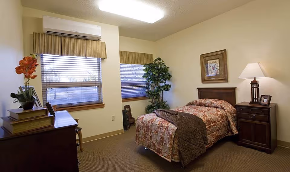 A cozy bedroom with a single bed covered in a patterned bedspread and a brown throw blanket. Next to the bed is a wooden nightstand with a lamp and a framed photo. There is a framed picture hanging on the wall above the bed. Two windows with blinds and valances let in natural light. A potted plant is placed in the corner near the windows. A dresser with books and a flower vase is visible on the left side of the room.