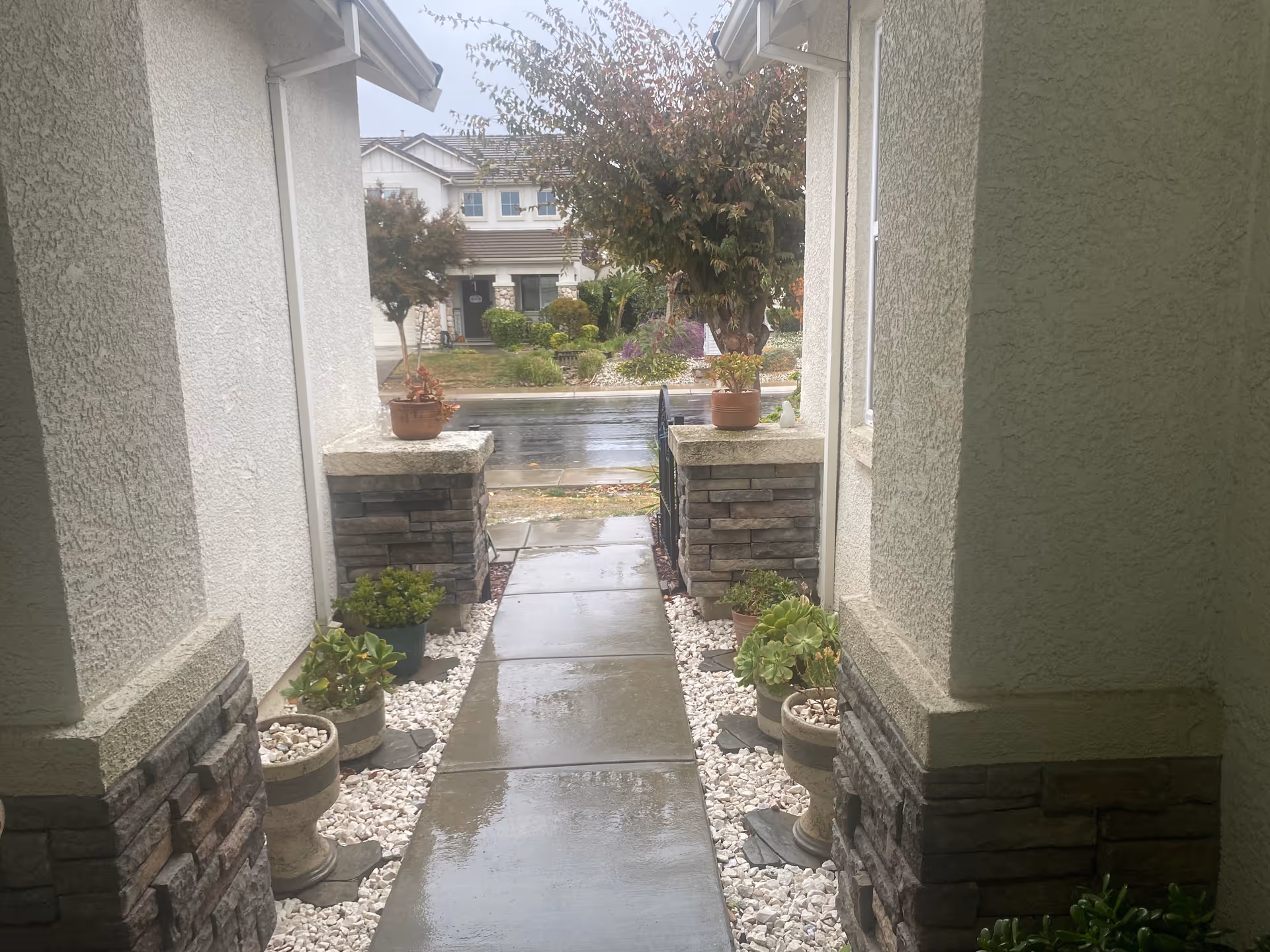 View from a covered porch looking out onto a wet concrete walkway lined with potted plants and white decorative stones, leading to a small gate and a residential street with houses and trees in the background on a rainy day.