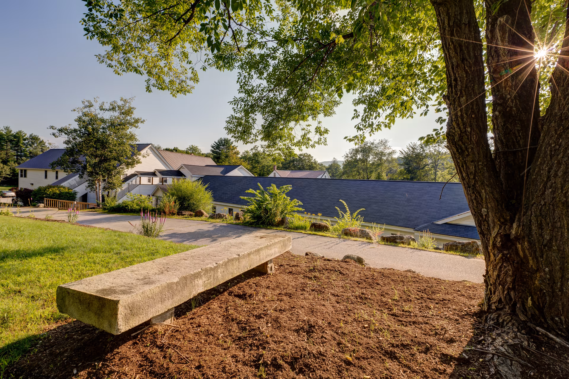 A stone bench under a tree overlooks the Pine Rock Manor campus and rooftops with sunlight filtering through the leaves.