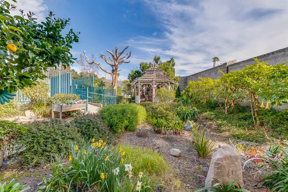 A vibrant garden area with various green plants, flowers, and shrubs. In the background, there is a wooden gazebo surrounded by greenery and a blue sky with some clouds. A stone marker and a white metal bench are visible in the foreground, along with a lemon tree on the left side.