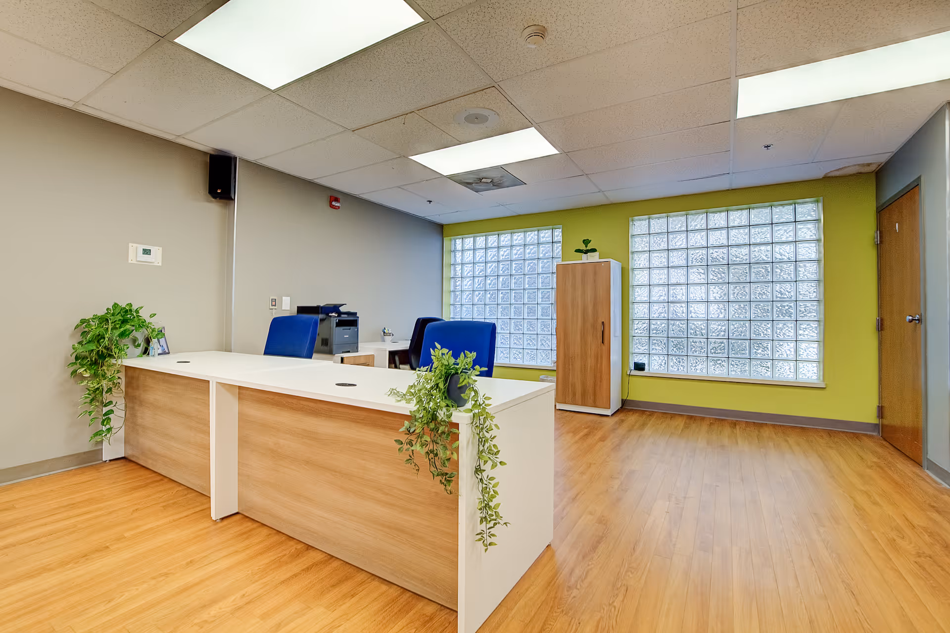 A modern office reception area with a wooden floor, a white and wood reception desk adorned with green plants, two blue office chairs, a printer, and a wooden cabinet against a lime green wall with large glass block windows.