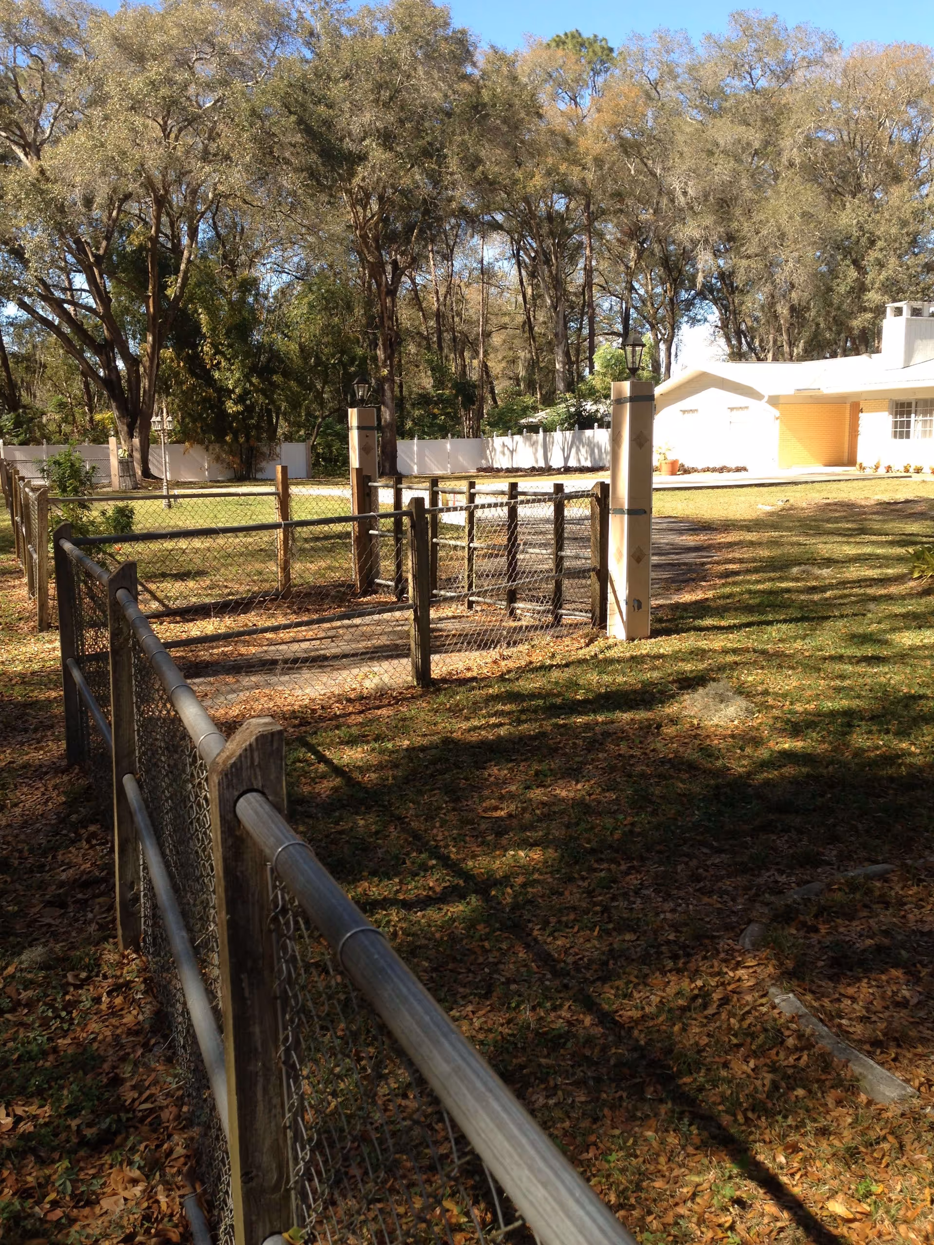 Outdoor area with a fenced pathway leading to a white and yellow building surrounded by trees and grass with fallen leaves.