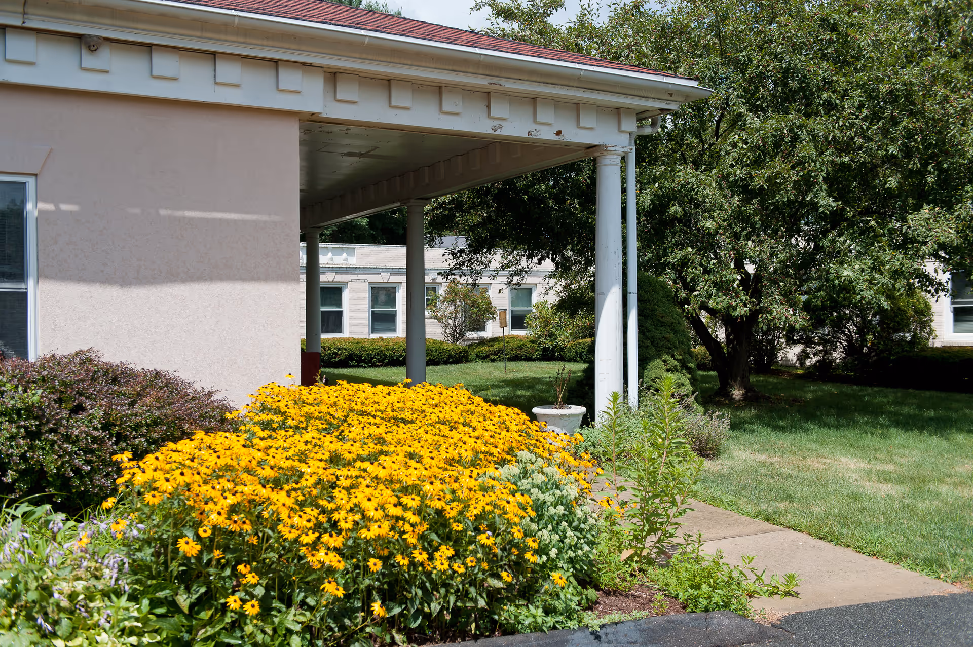 Outdoor view of a senior living facility showing a garden with vibrant yellow flowers and green shrubs next to a covered walkway supported by white columns. In the background, there are trees and parts of the building with windows visible.