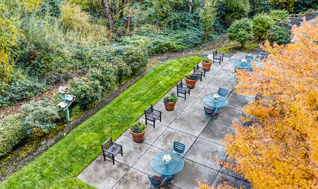 Overhead view of a paved outdoor patio with round glass tables, chairs, potted plants, and adjacent lawn and trees with autumn foliage.