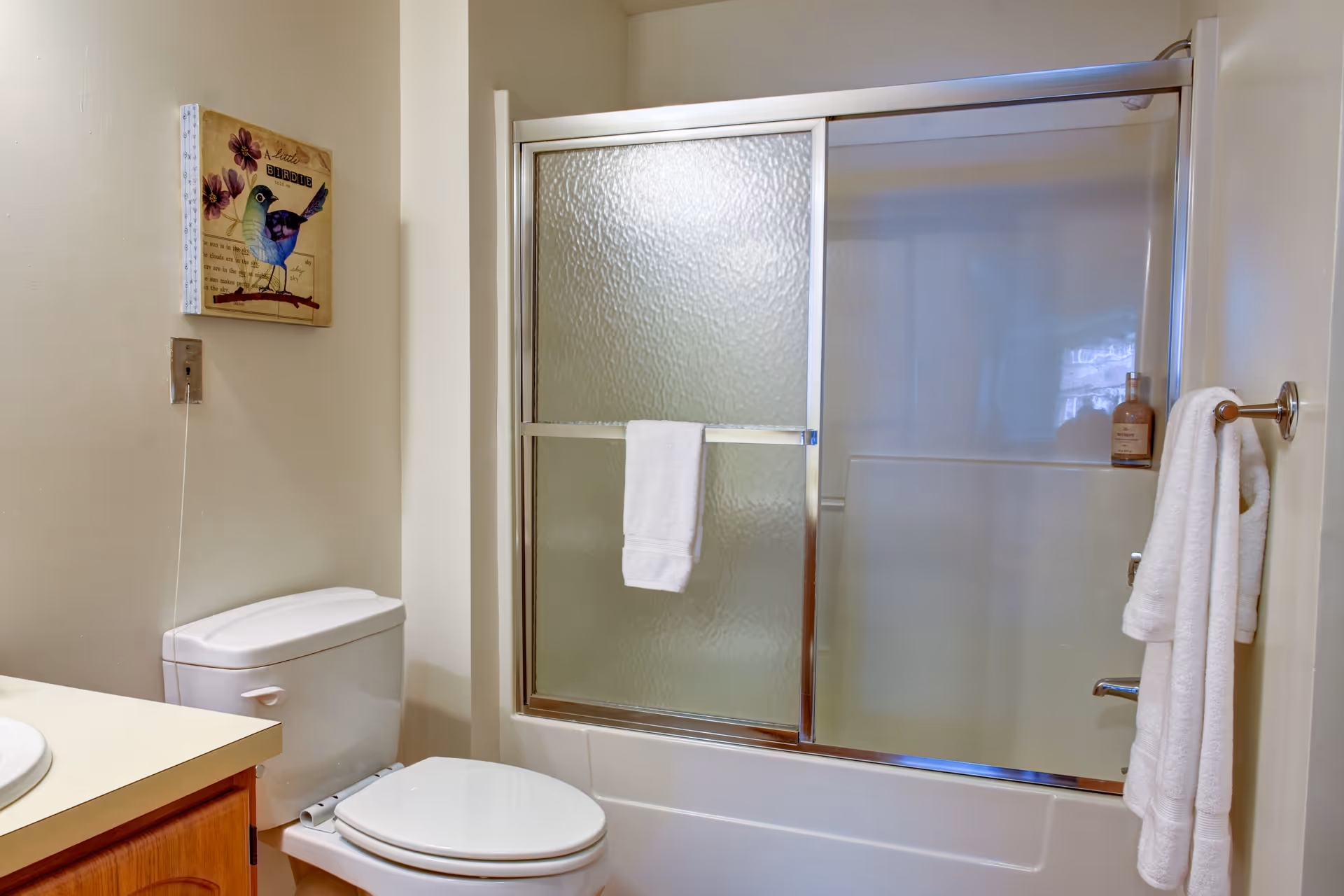 A bathroom with a white toilet, a bathtub with sliding frosted glass doors, and white towels hanging on the door and a towel rack. There is a small decorative picture of a blue bird on the wall above the toilet.