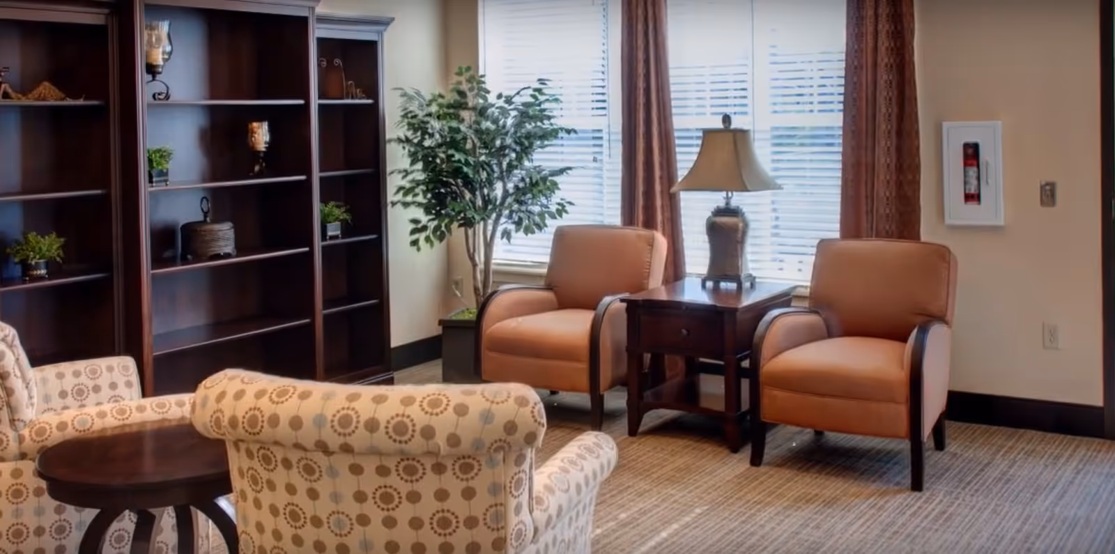 A cozy lounge with upholstered armchairs, patterned chairs, a side table with a lamp, bookshelves and a potted plant by a window.