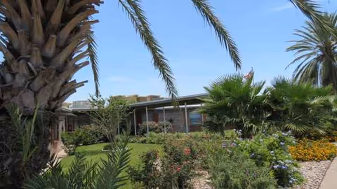Exterior view of Eagle Pass Nursing and Rehabilitation with palm trees and landscaped garden.