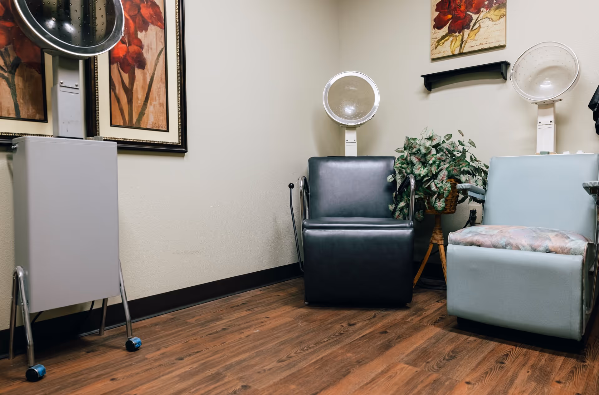 Small salon room with two vintage hooded hair dryers, padded styling chairs, a potted plant, and framed wall art over wood flooring.