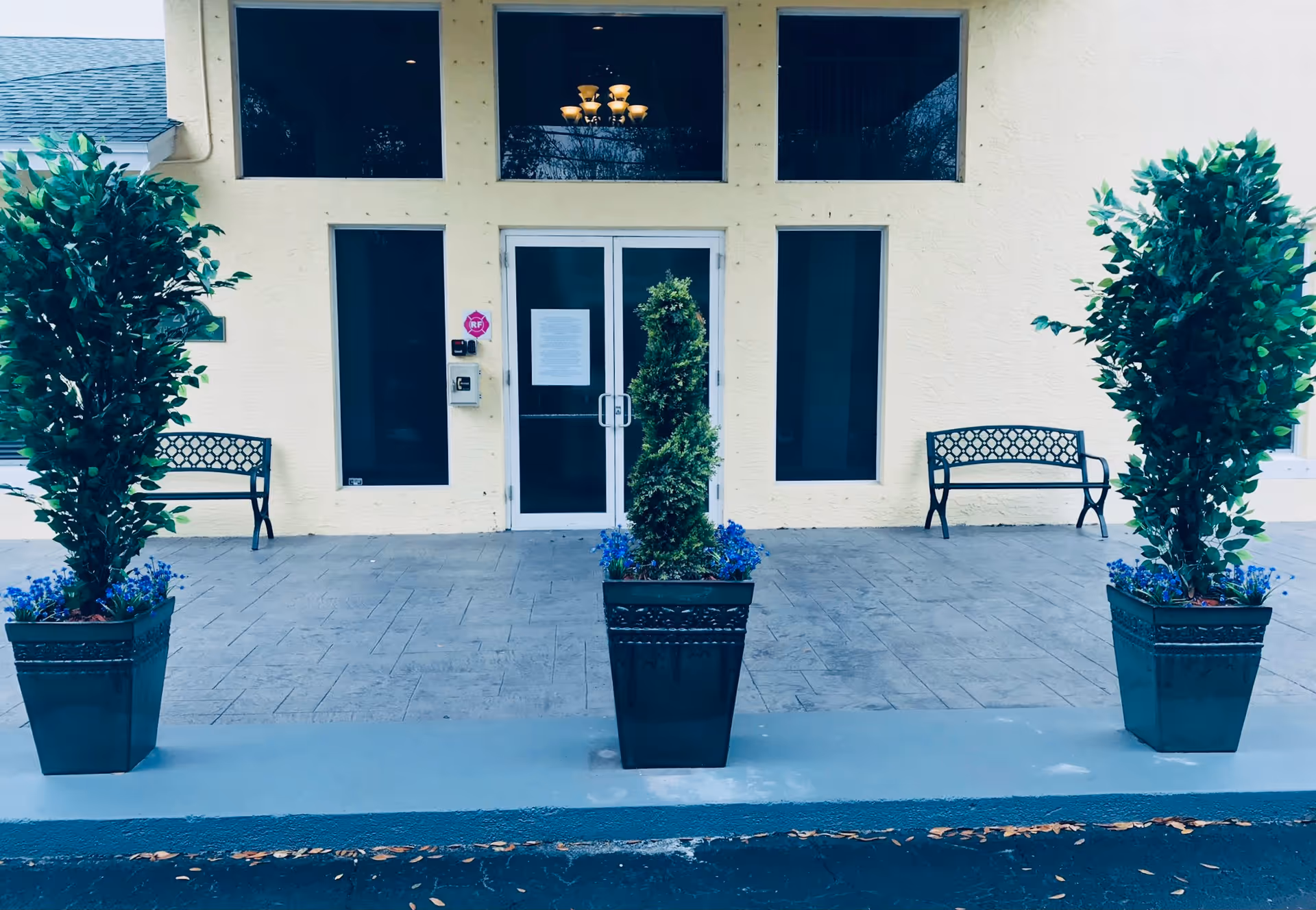 Front entrance of a building with double glass doors flanked by tall narrow windows. There are two black metal benches on either side of the entrance and three large potted plants with green foliage and purple flowers in front. A chandelier is visible through the upper windows above the door.