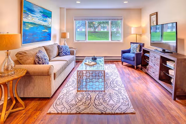 Bright furnished living room with a sofa, armchair, coffee table on a patterned rug and a TV console beneath a window overlooking a green lawn.