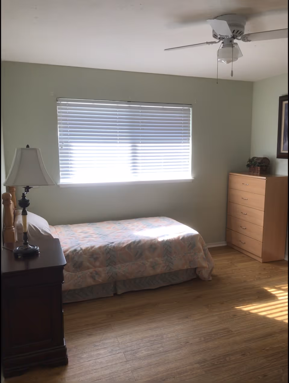 A simple bedroom with a single bed covered with a patterned quilt, a wooden nightstand with a lamp, a wooden dresser with a small plant on top, a window with closed blinds, and a ceiling fan.